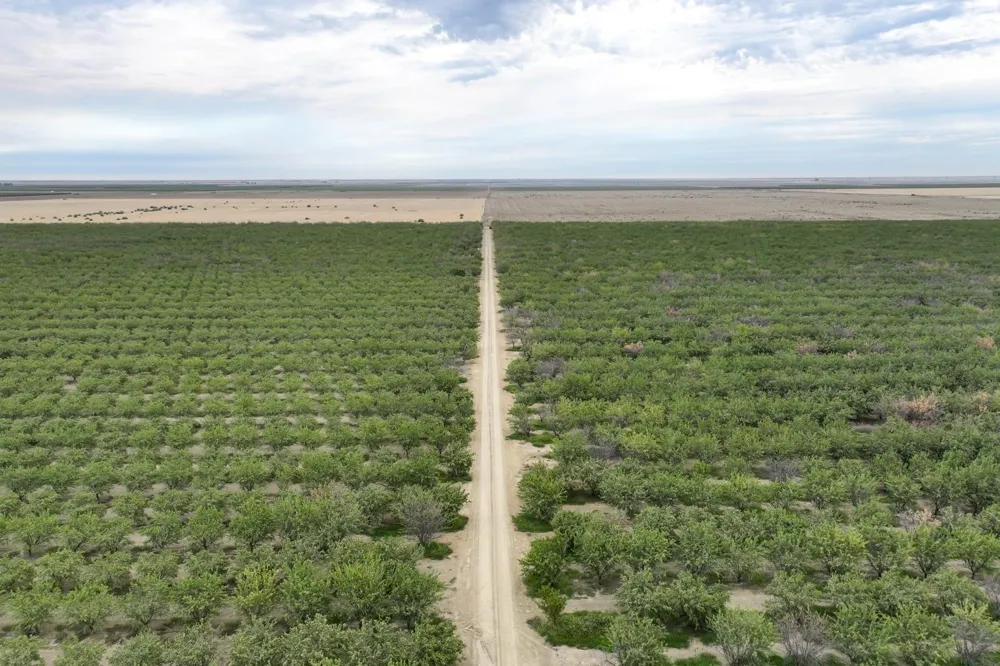 0 Manning Avenue Mendota, CA 93640