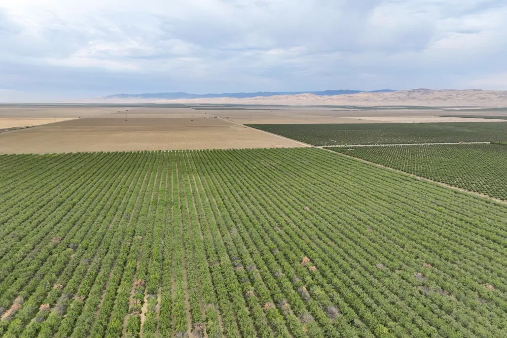 0 Manning Avenue Mendota, CA 93640