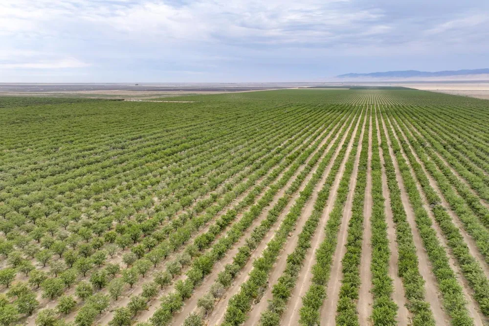 0 Manning Avenue Mendota, CA 93640