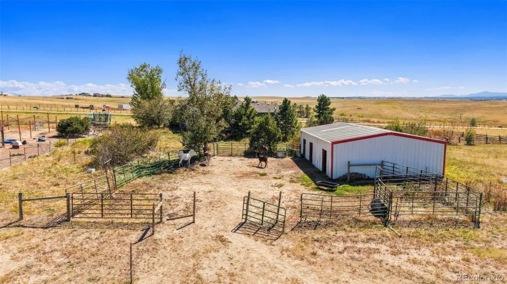 7555 Patrick Trail Elizabeth, CO 80107