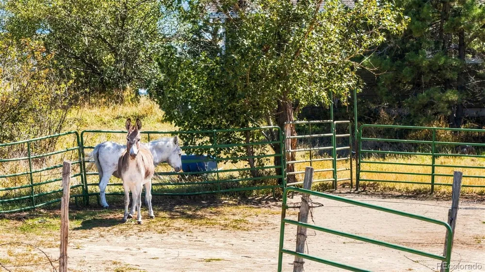7555 Patrick Trail Elizabeth, CO 80107