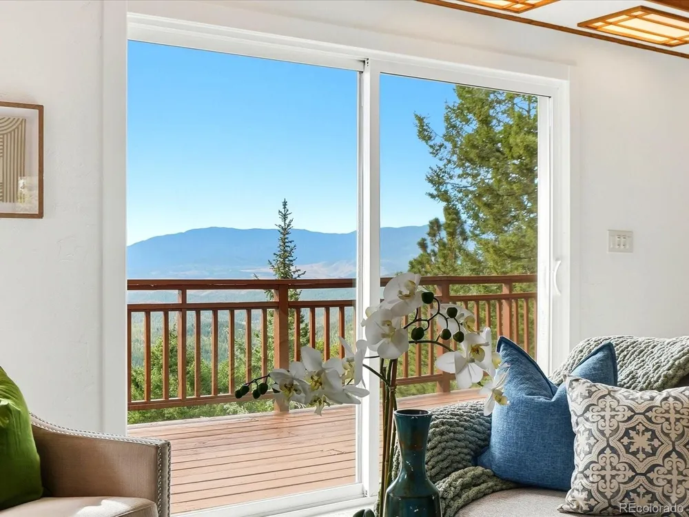 11742 Braun Way Conifer, CO 80433