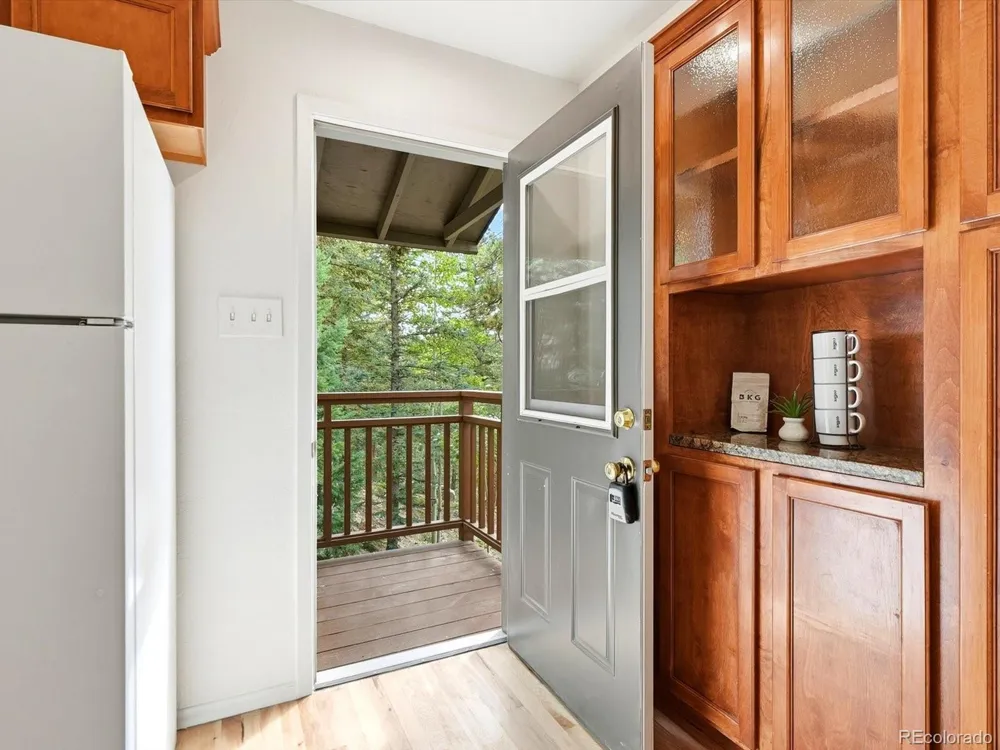 11742 Braun Way Conifer, CO 80433