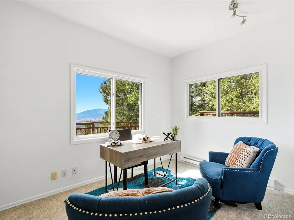 11742 Braun Way Conifer, CO 80433