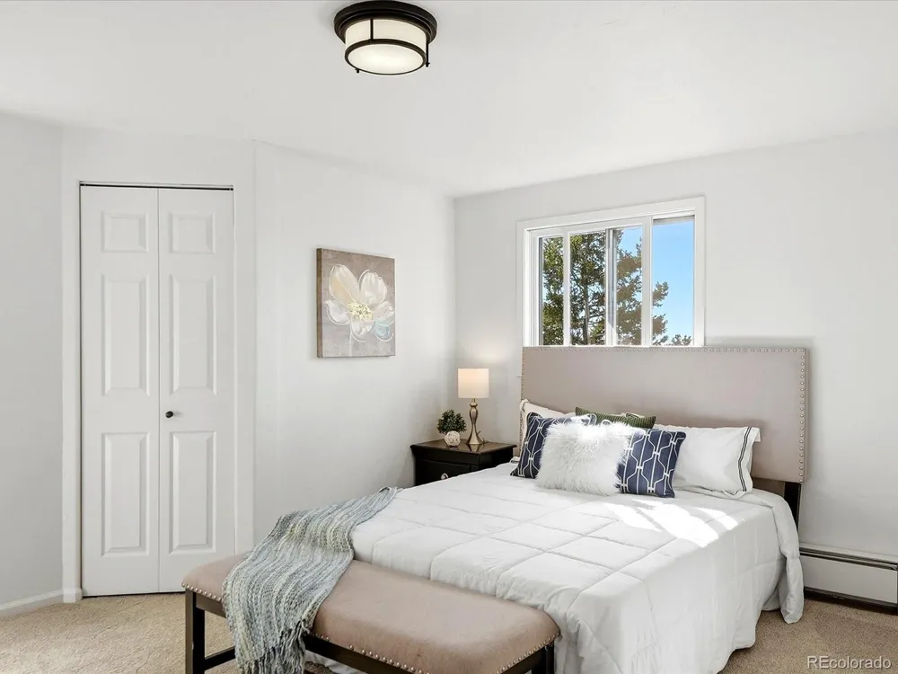 11742 Braun Way Conifer, CO 80433