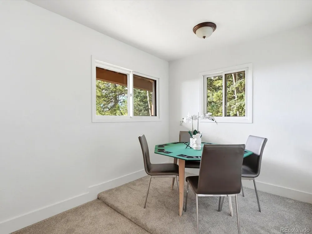 11742 Braun Way Conifer, CO 80433