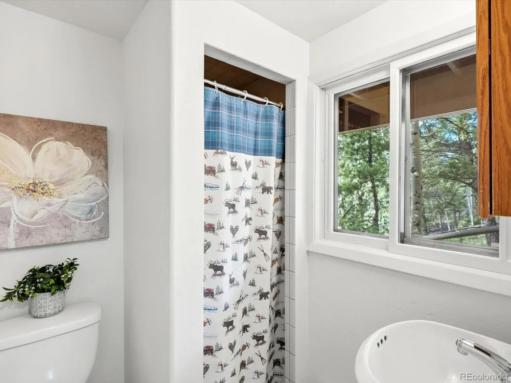 11742 Braun Way Conifer, CO 80433
