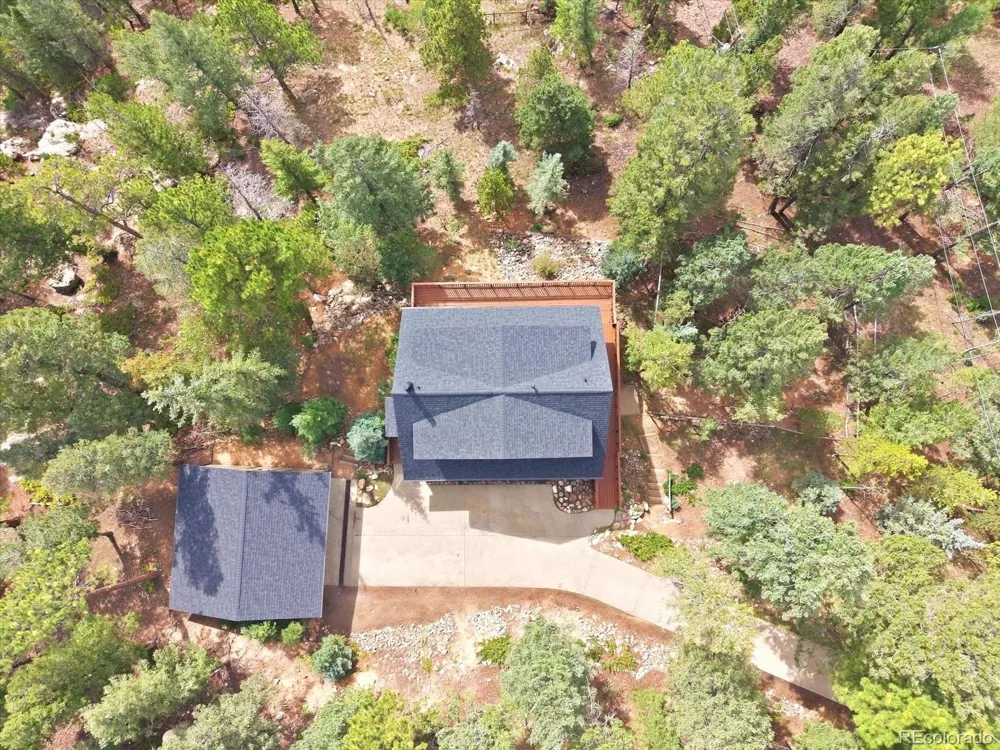 11742 Braun Way Conifer, CO 80433