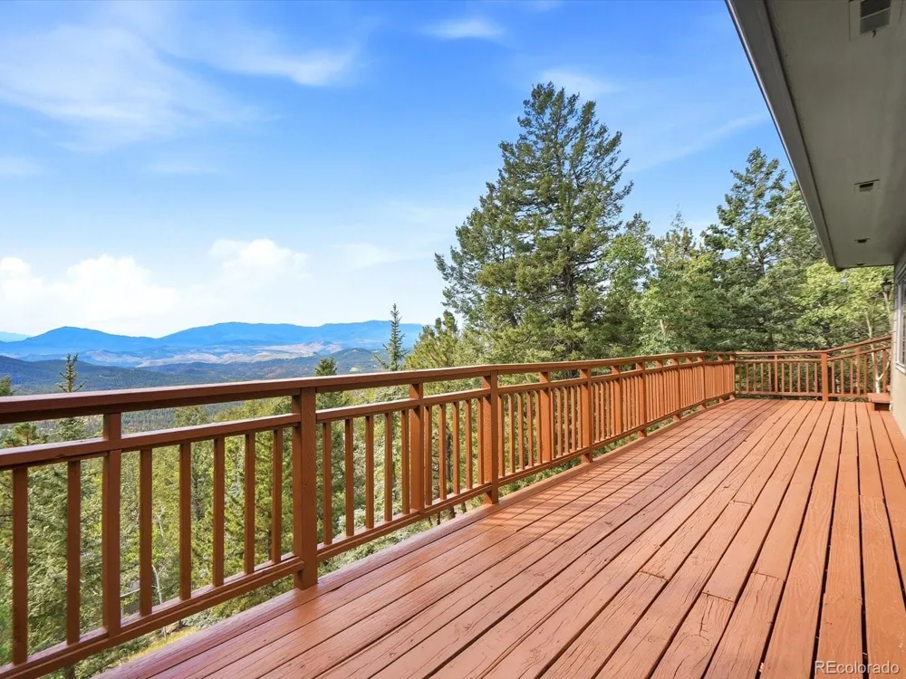 11742 Braun Way Conifer, CO 80433