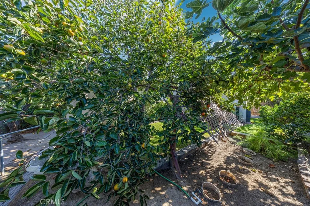 2640 David La Habra, CA 90631