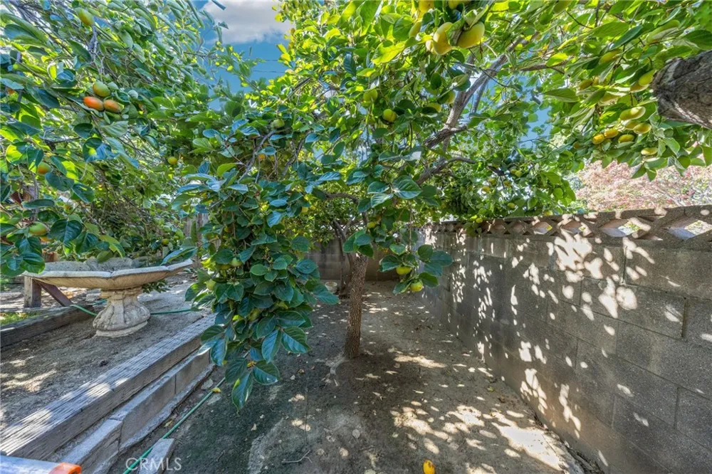 2640 David La Habra, CA 90631