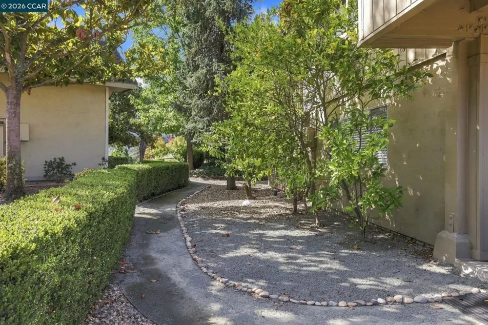 1138 Skycrest Dr #8 Walnut Creek, CA 94595