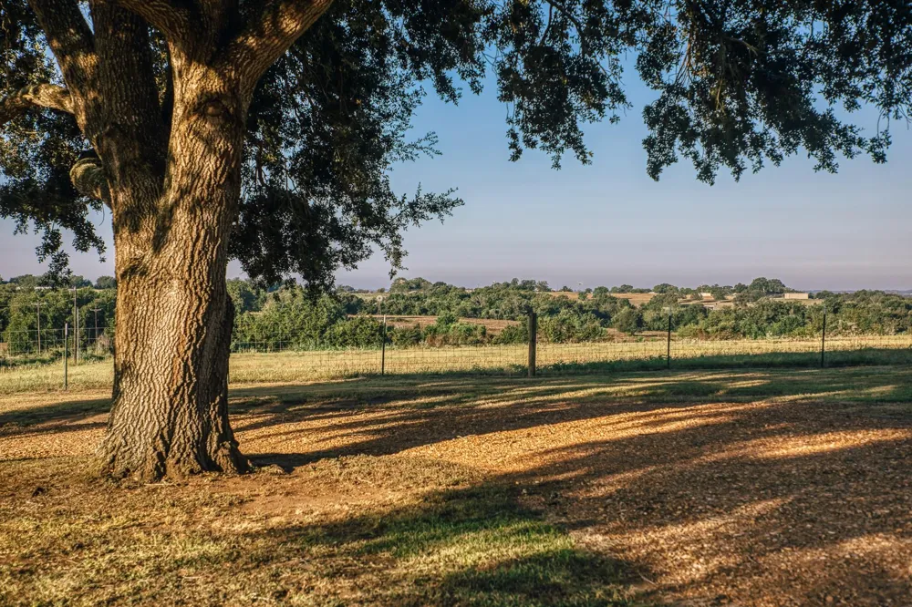 500 Pleasant Hill School Road Brenham, TX 77833