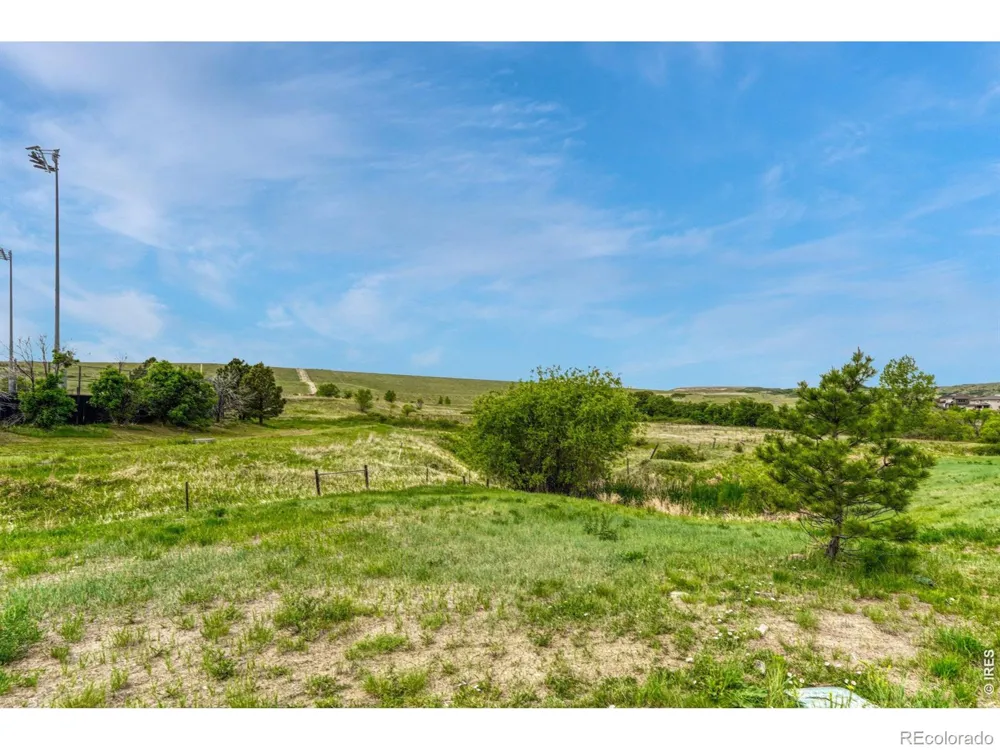 15048 Yellowthroat Street Parker, CO 80134