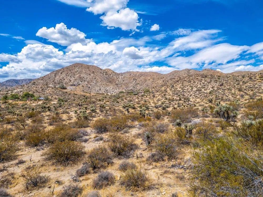 51944 Northridge Road Morongo Valley, CA 92256