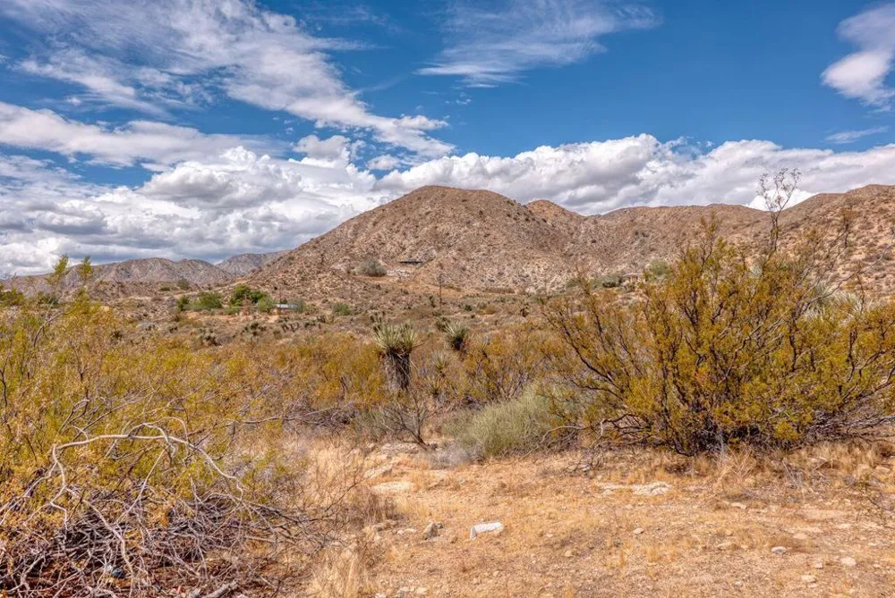 51944 Northridge Road Morongo Valley, CA 92256