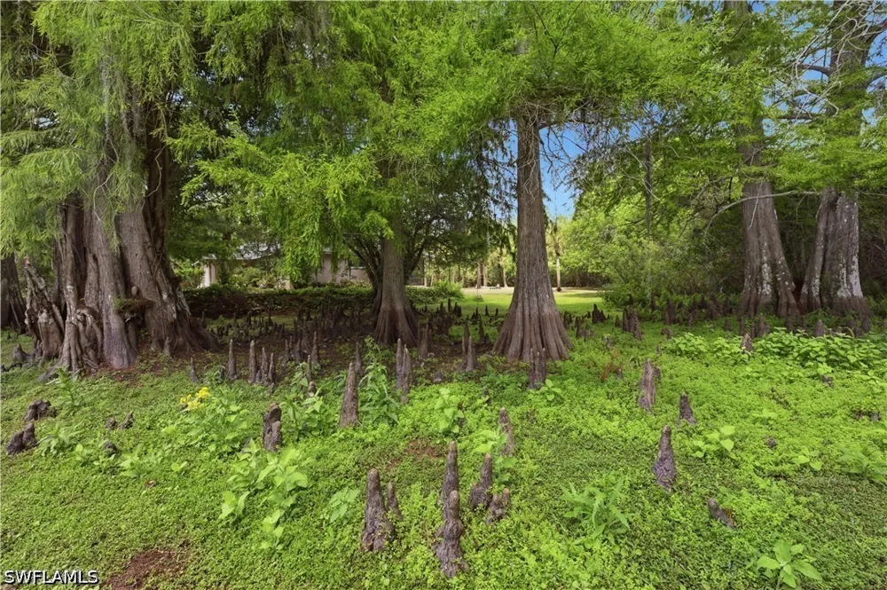 Bur Oaks Lane Naples, FL 34119
