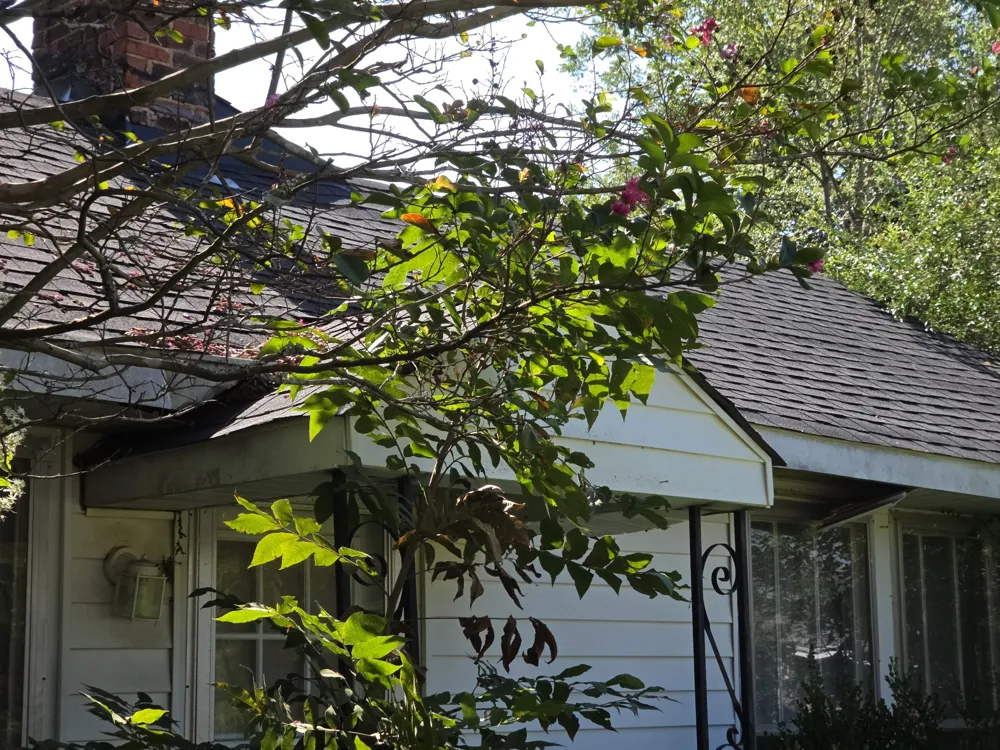 7110 Highway 18 S Hickory Valley, TN 38042