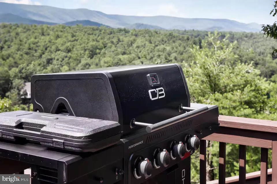 163 RACCOON ROAD Basye, VA 22810