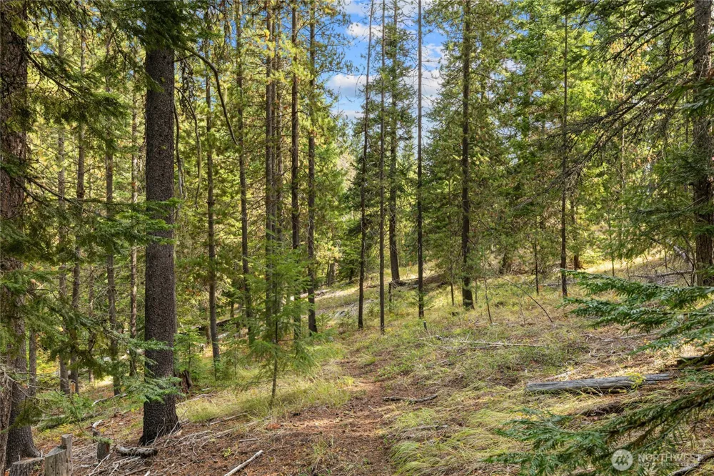 760 Wagon Wheel Rd. Cle Elum, WA 98922