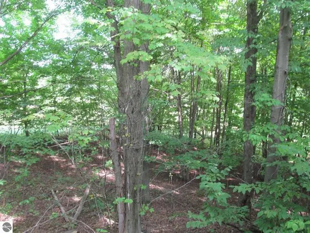 22484 90th Avenue Highland Township, MI 49665
