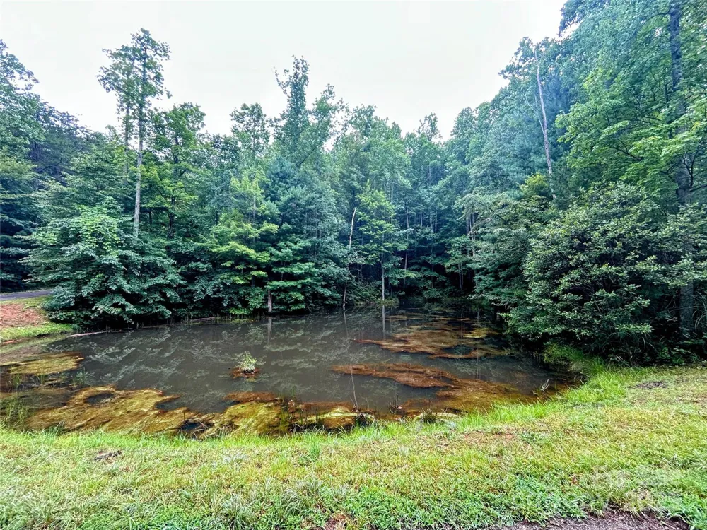 Lot 6 Azalea Way Saluda, NC 28773