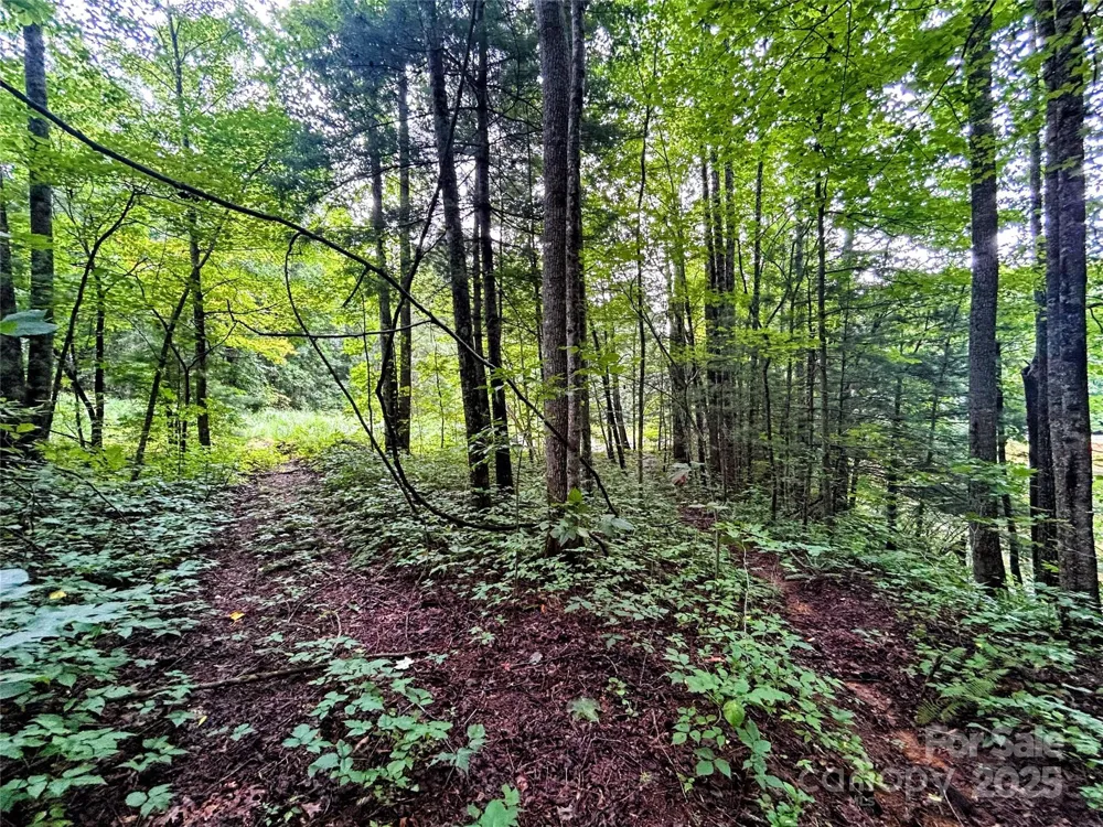 Lot 6 Azalea Way Saluda, NC 28773