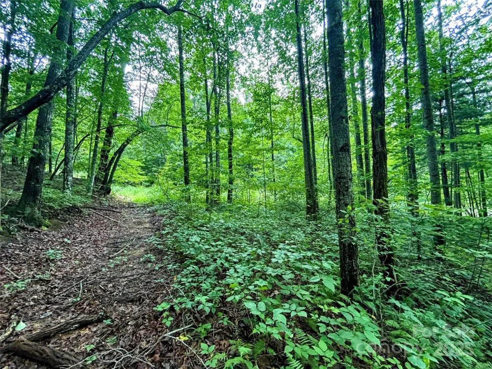 Lot 6 Azalea Way Saluda, NC 28773