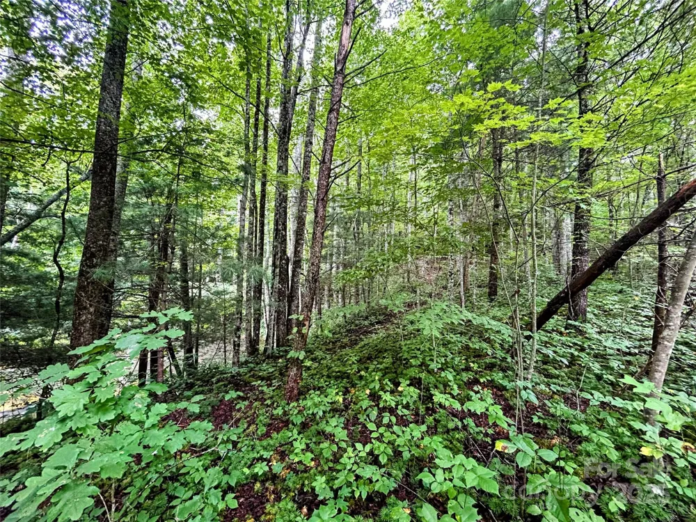 Lot 6 Azalea Way Saluda, NC 28773