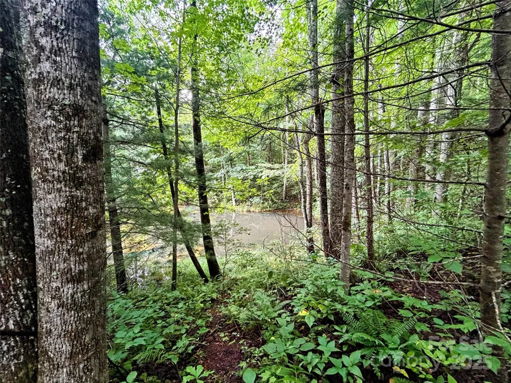 Lot 6 Azalea Way Saluda, NC 28773