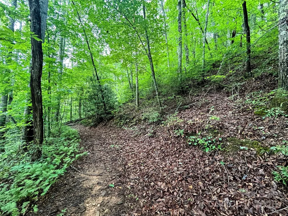 Lot 6 Azalea Way Saluda, NC 28773