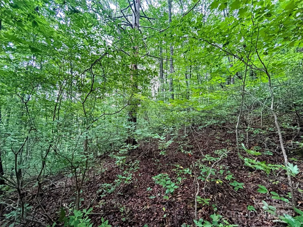 Lot 6 Azalea Way Saluda, NC 28773