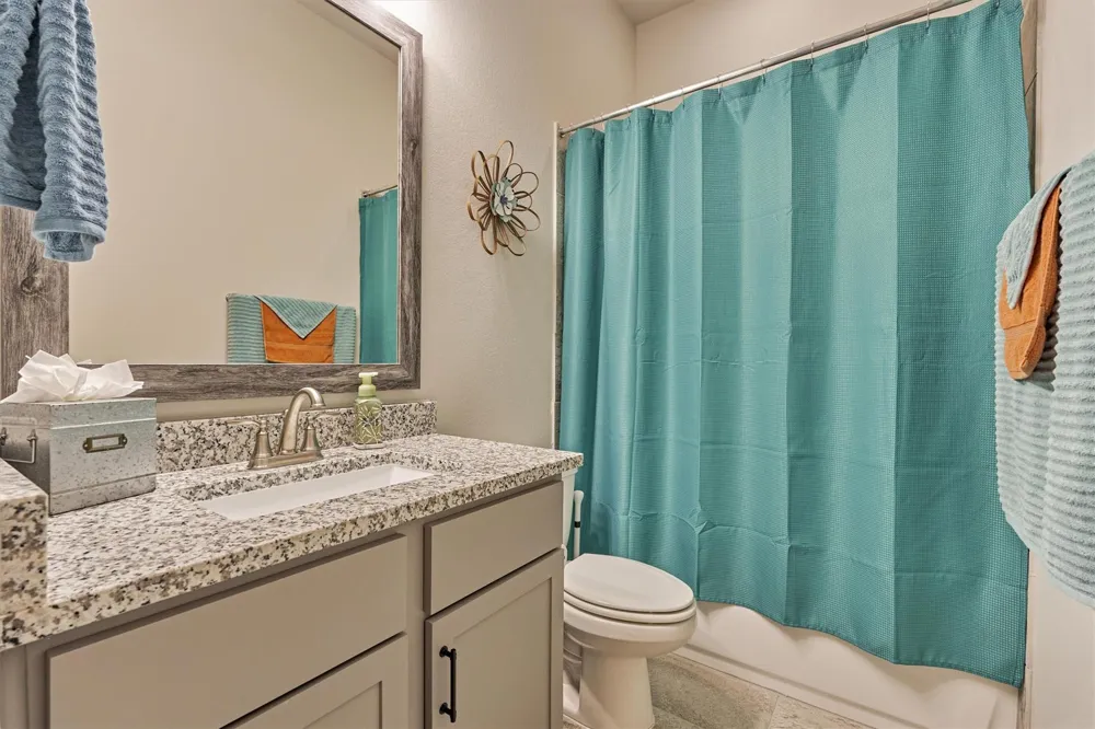 305 Pewter Sky Drive Montgomery, TX 77316