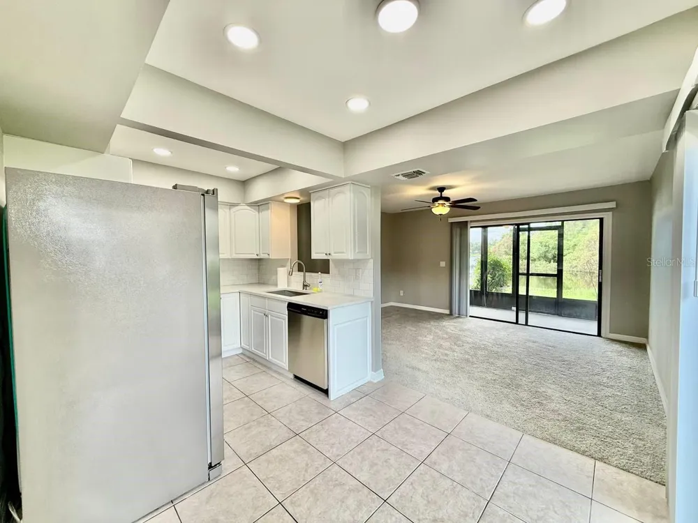 16596 BRIGADOON DRIVE Tampa, FL 33618