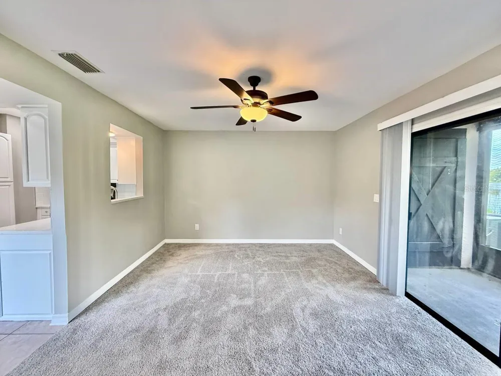 16596 BRIGADOON DRIVE Tampa, FL 33618
