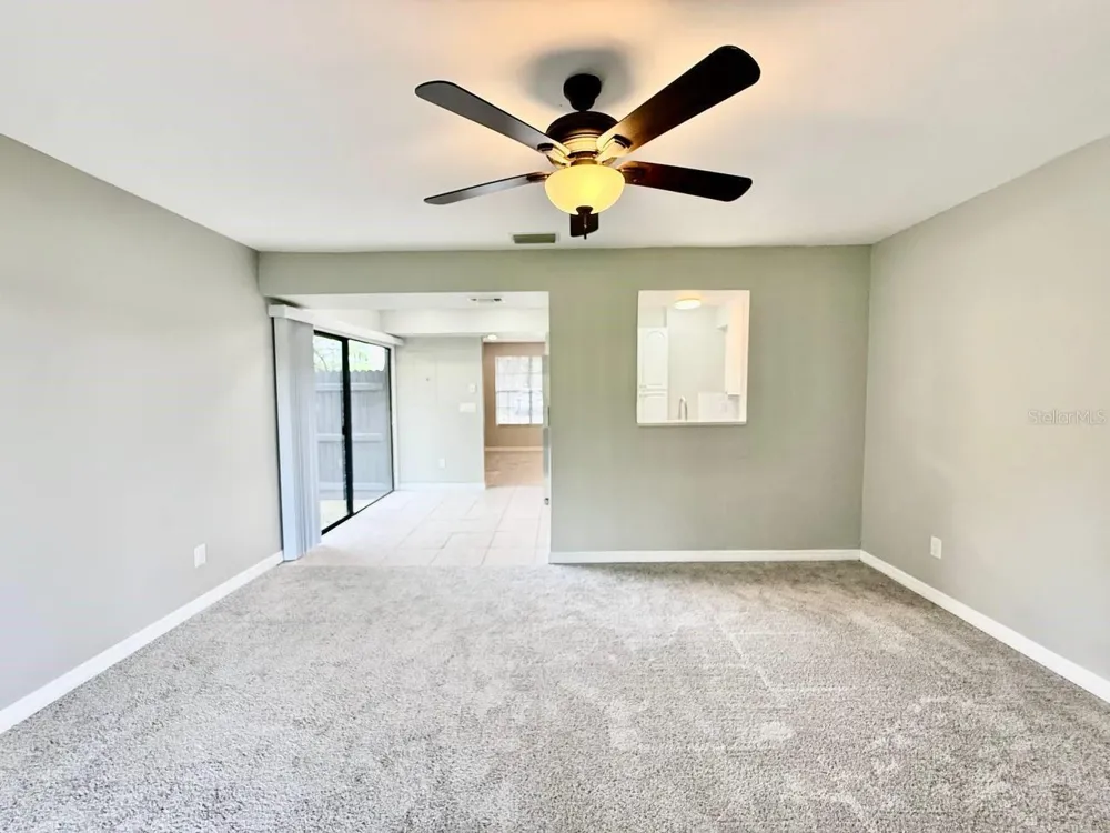 16596 BRIGADOON DRIVE Tampa, FL 33618