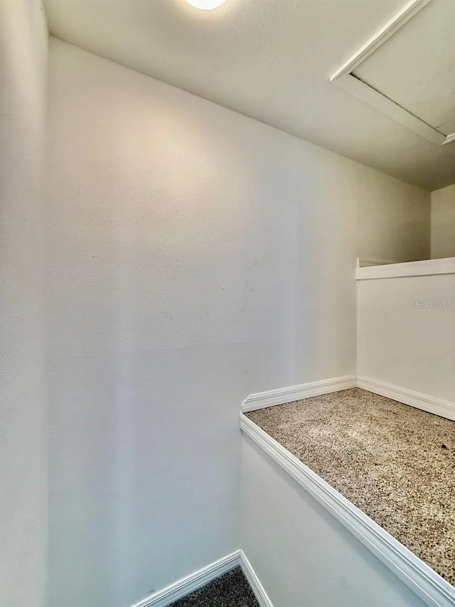 16596 BRIGADOON DRIVE Tampa, FL 33618