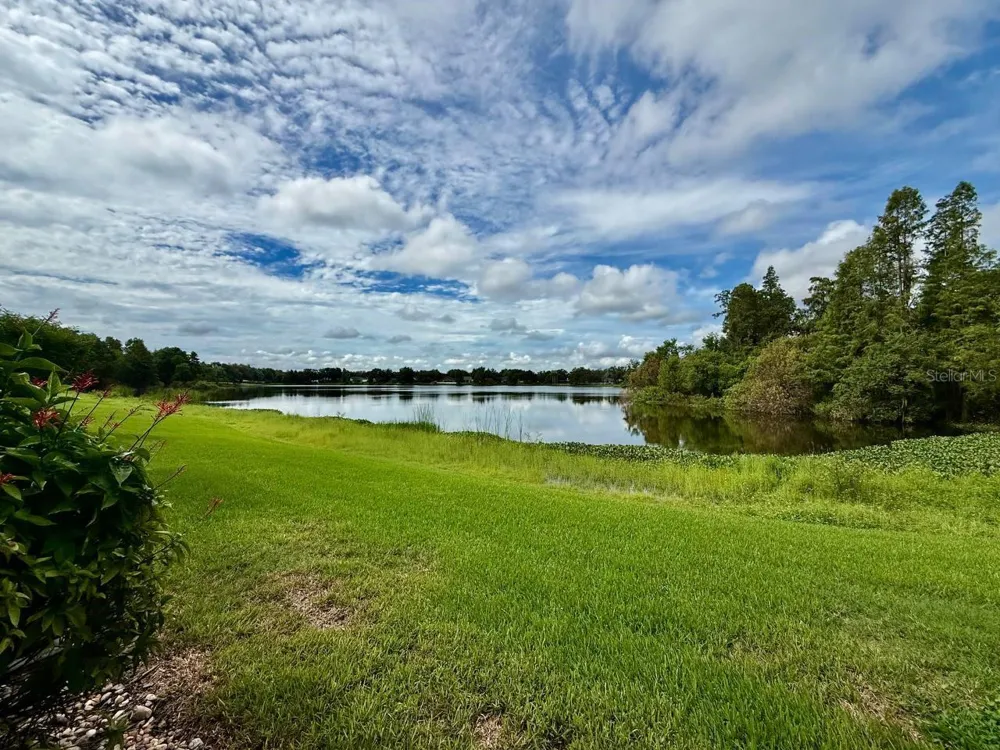 16596 BRIGADOON DRIVE Tampa, FL 33618