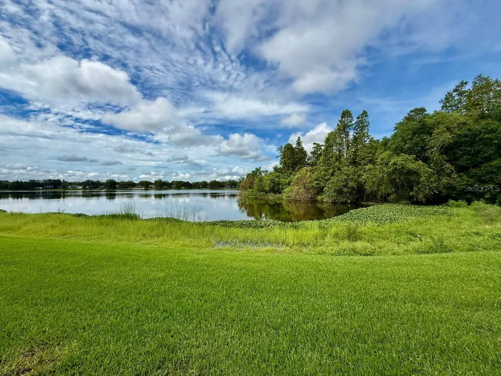 16596 BRIGADOON DRIVE Tampa, FL 33618