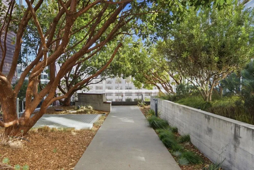 1000 3rd Street #811 San Francisco, CA 94158