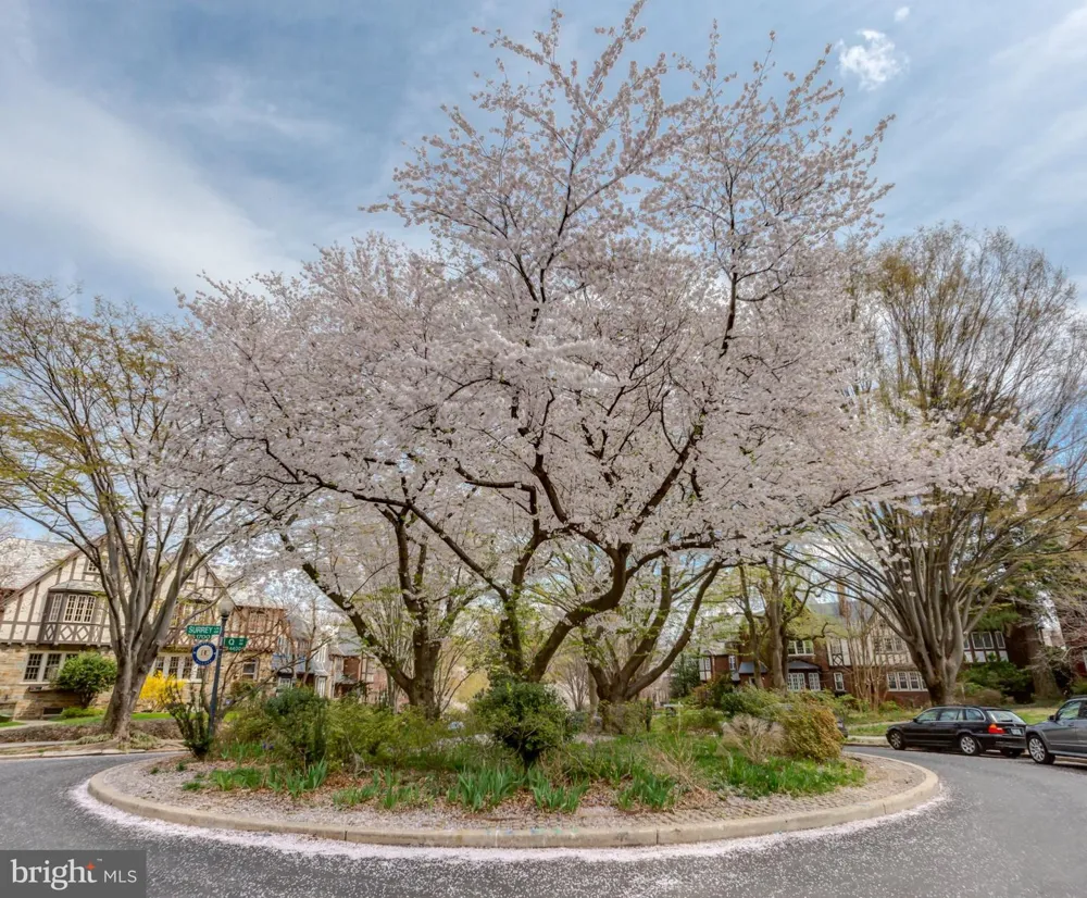 1413 44TH STREET NW Washington, DC 20007