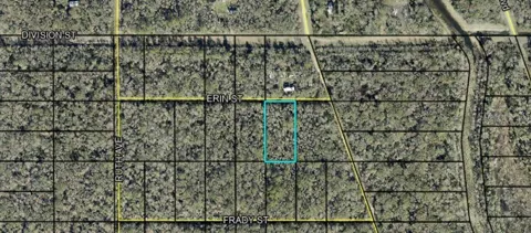 Tract 159 ERIN ST