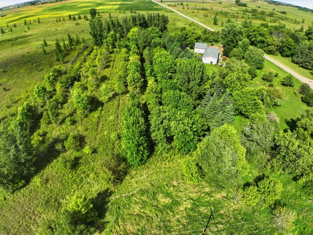 990 180th Avenue SE Kerkhoven, MN 56252