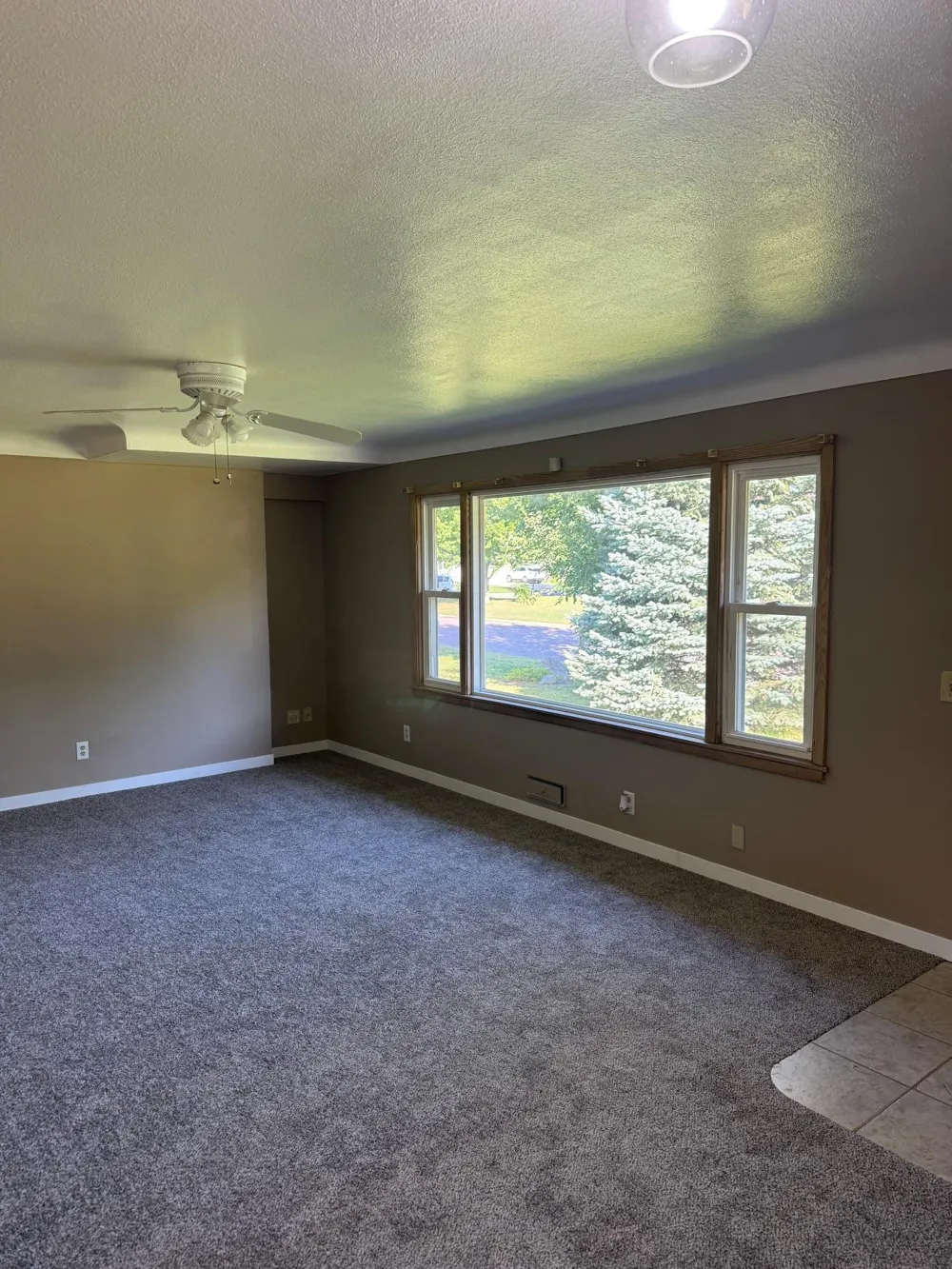 435 W Ottawa Street Le Center, MN 56057