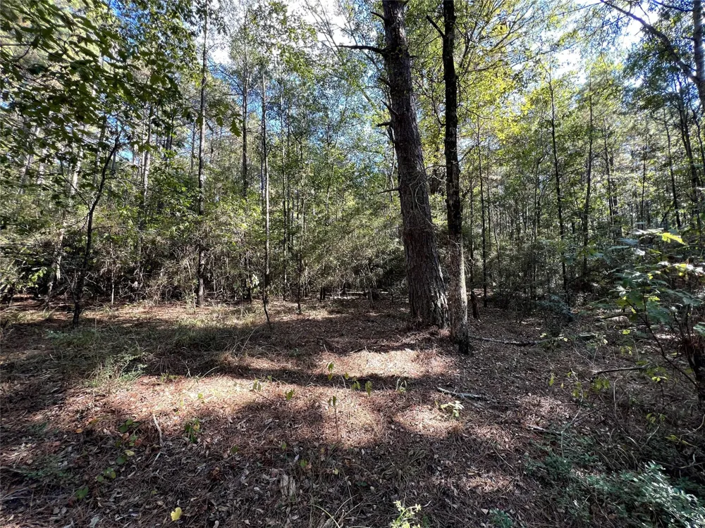 214 County Rd 2940 Shelbyville, TX 75973
