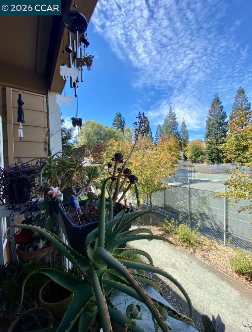 161 Village Pl Martinez, CA 94553