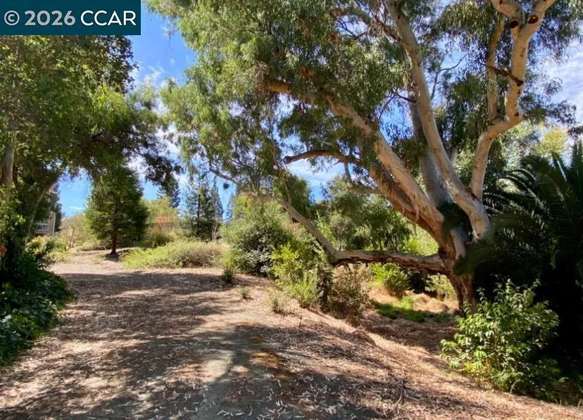 161 Village Pl Martinez, CA 94553
