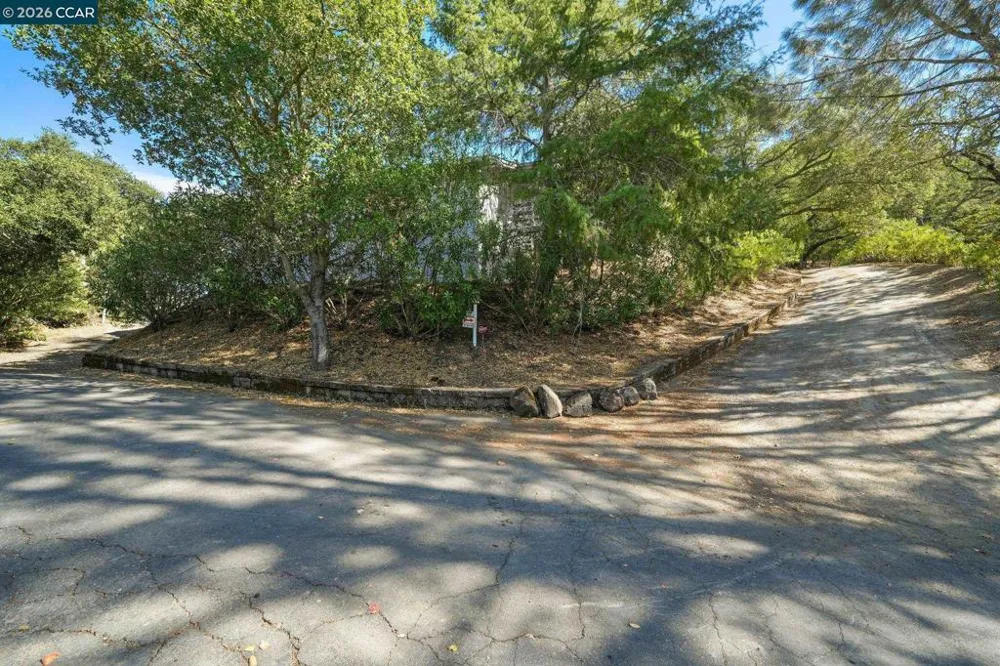 300 Oak View Ter Danville, CA 94526