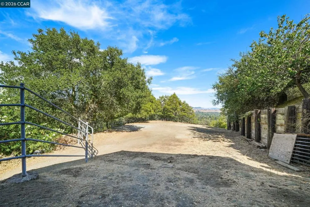 300 Oak View Ter Danville, CA 94526