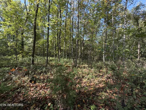 2235 Moore Knob Rd